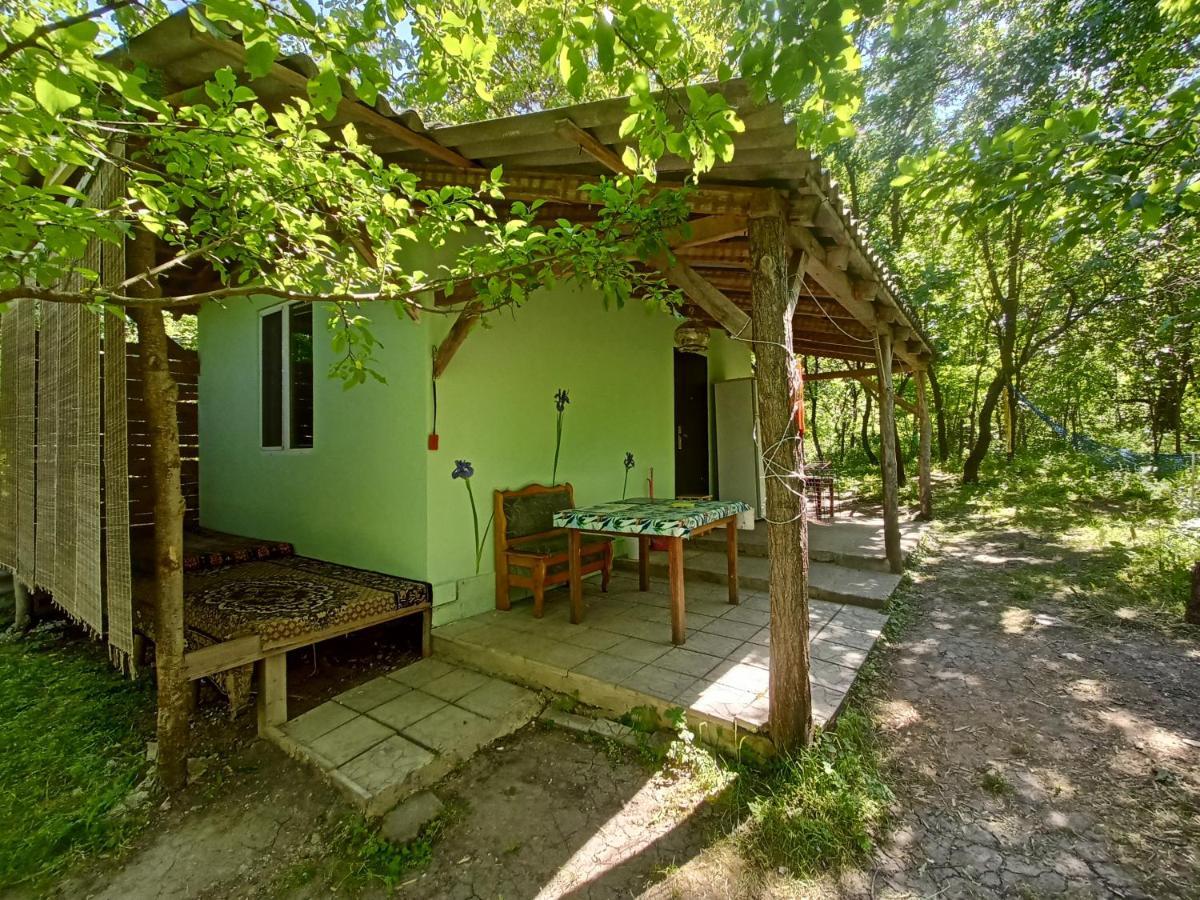 Ferienhaus еко-садиба бакота Kolodiyevka